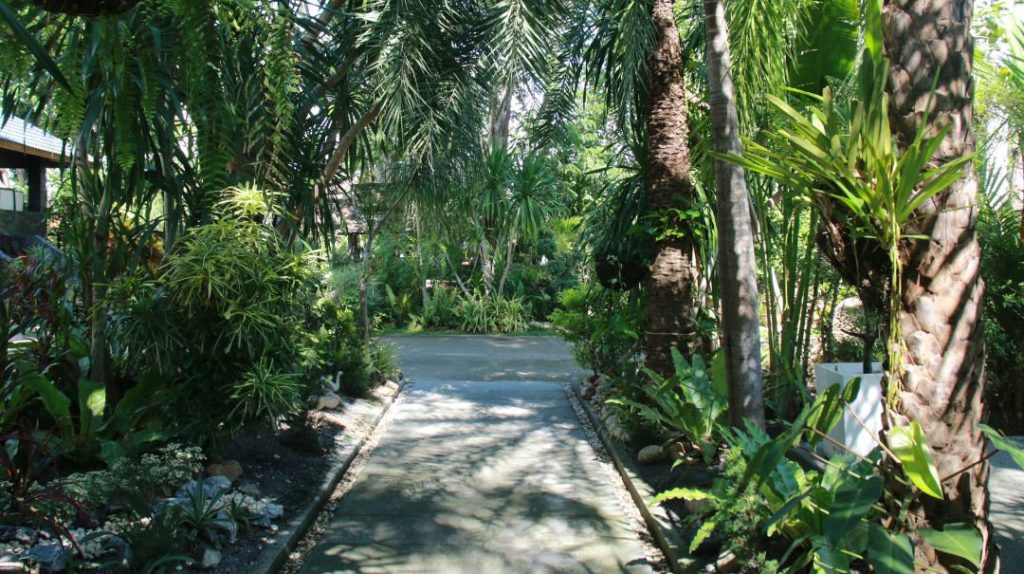 The path to recovery at One Step Rehab Thailand