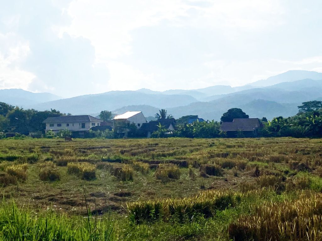 Rolling hills surround Mae Rim district